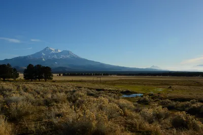 DSC_3005 (Large).JPG